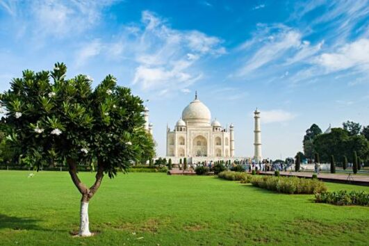 Taj Mahal Sunrise Tour